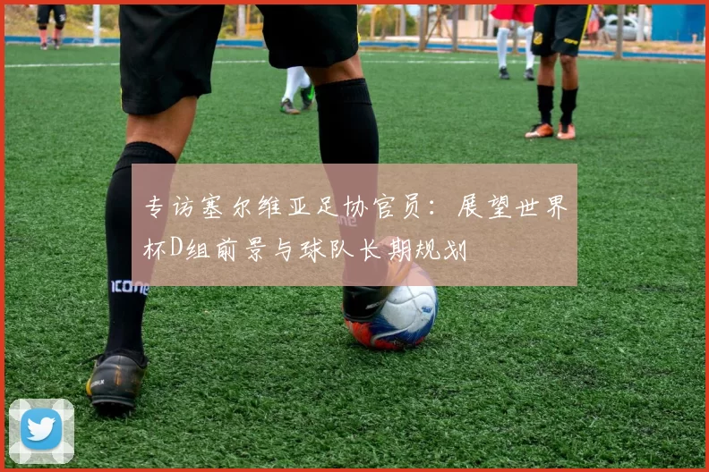 专访塞尔维亚足协官员：展望世界杯D组前景与球队长期规划