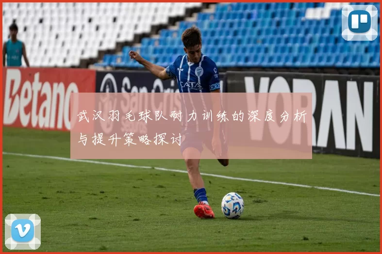 武汉羽毛球队耐力训练的深度分析与提升策略探讨