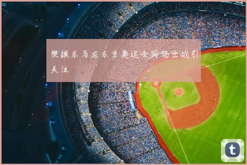 樊振东马龙东京奥运会同场出战引关注