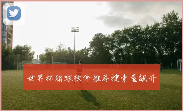 世界杯赌球软件推荐搜索量飙升