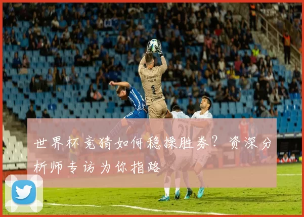世界杯竞猜如何稳操胜券？资深分析师专访为你指路