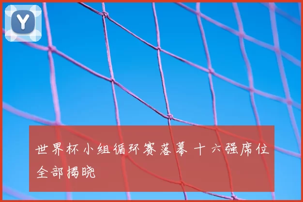 世界杯小组循环赛落幕 十六强席位全部揭晓