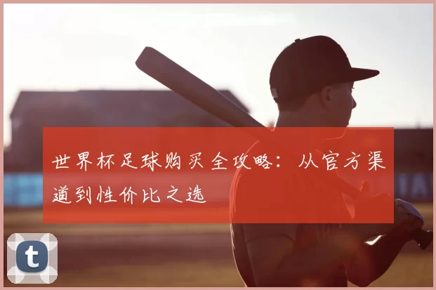 世界杯足球购买全攻略：从官方渠道到性价比之选