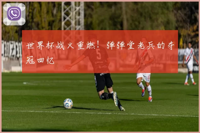世界杯战火重燃!弹弹堂老兵的夺冠回忆