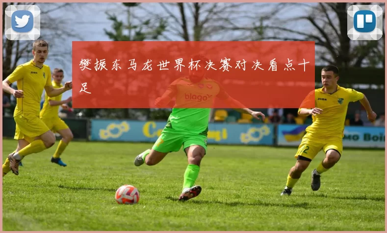 樊振东马龙世界杯决赛对决看点十足